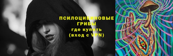 ГАЛЛЮЦИНОГЕННЫЕ ГРИБЫ Абинск